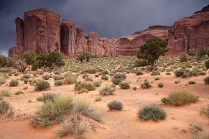 Monument Valley (25)