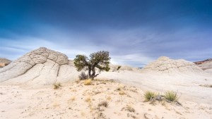 USA-19-withe pocket-019