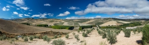 Alhama (1)