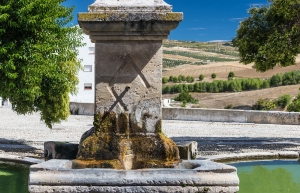 Alhama (19)