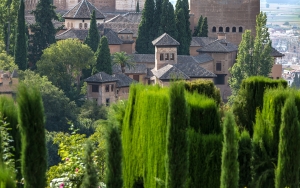 Alhambra (11)