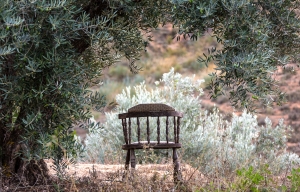 Andalusien 2013 (107)