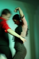 Flamenco Theater (1)