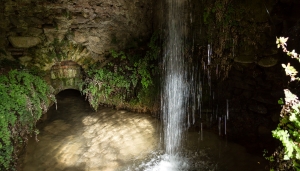 Generalife (4)