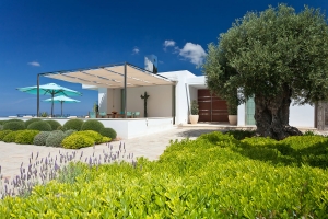 casa transparente (11)