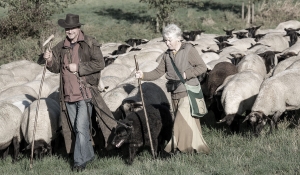 der Hirte (2)