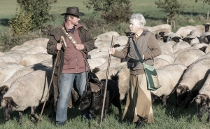 der Hirte 25
