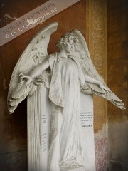 Engel Florenz