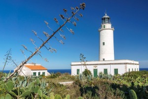 Faro-de-Mola-2016-3