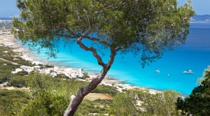 Formentera 064.jpg