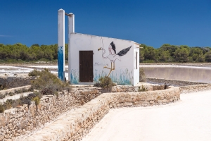 Formentera 066.jpg