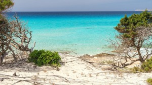 Formentera-Cala-Migjorn-002