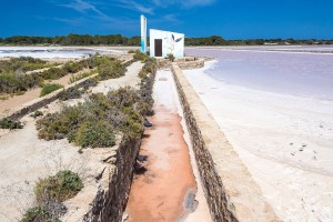 Formentera-Salinen-2015-17