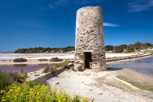 Formentera-Salinen-2015-4