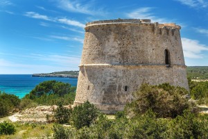 Torre-des-pi-de-catala-2016-3