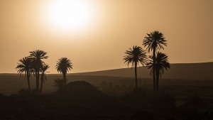 Fuerteventura-003