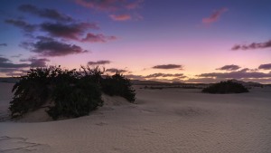 Fuerteventura-018