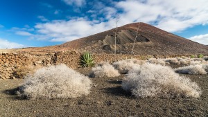 Fuerteventura-022