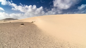 Fuerteventura-031
