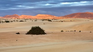 Fuerteventura-075