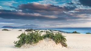 Fuerteventura-076