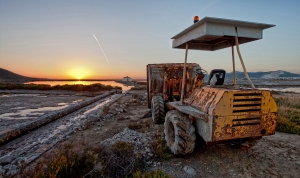 SU Salinas 12 10 c