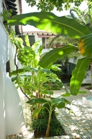 Na Xamena (2)