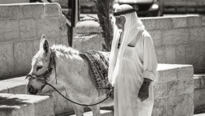 Jerusalem-031
