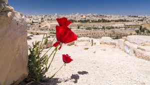 Jerusalem-033
