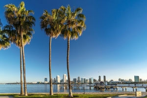 1.u.2.Tag San Diego 008