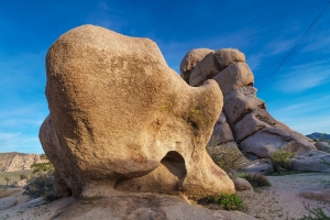 Joshua Tree 028