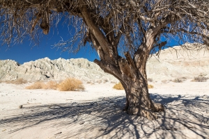 Box Canyon (2).jpg