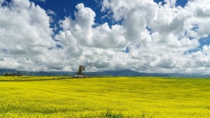 Kern-County-001