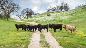Kern-County-002