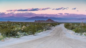 Mojave-Wüste-003