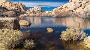 Mojave-Wüste-004