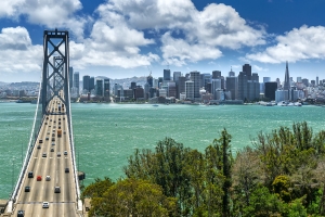 SF (11)