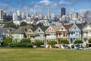 SF (14)