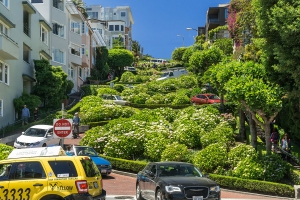 SF (7)