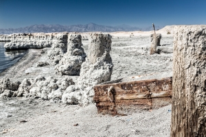 Salton Sea, Babylon Beach (1).jpg