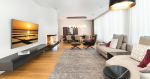 Kamin-M2-1