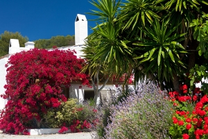 Bourgonville, sa Revista  (2)