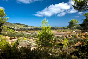 Plana san Mateu (1)