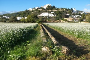 Puig den Missa con Flores  (3)