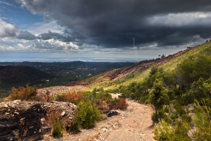 Waldbrand (4)