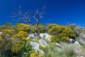 Wanderung vom Atalaia nach Cova de Culleram (4)