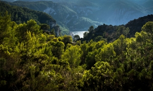 cala d'Albarca Mittelerde