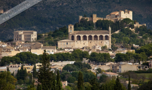 Arta 11.09 (1)