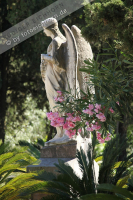 Freidhof Soller (27)