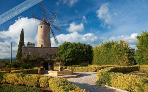 Restaurant Moli des Torrent (2)